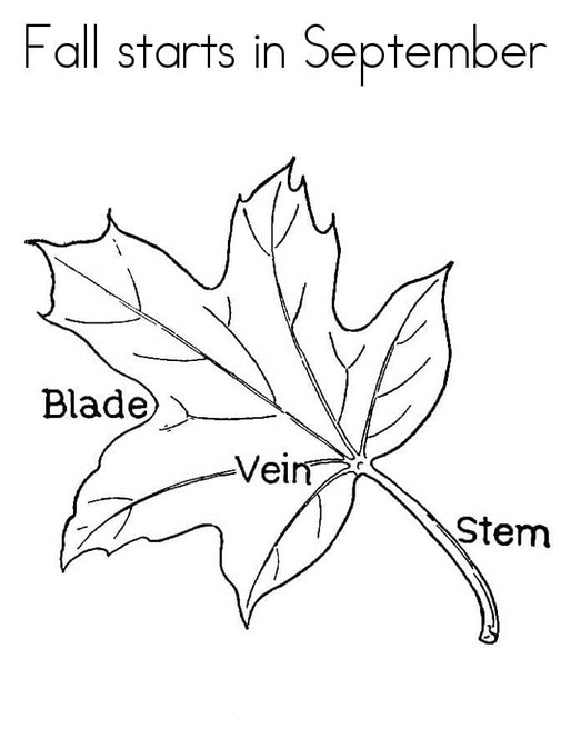 Der Herbst beginnt im September