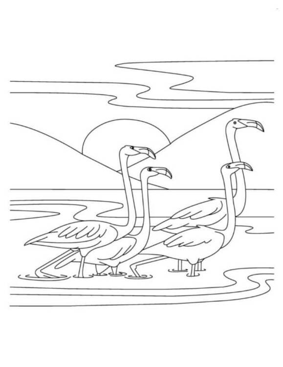 Zeichnen Sie Vögel die dem Sonnenuntergang begegnen