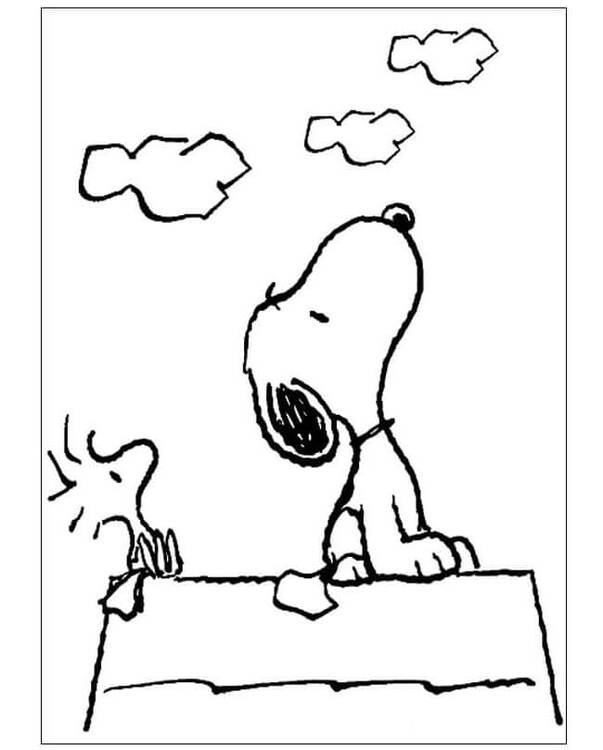 Snoopy und Woodstock blicken in den Himmel