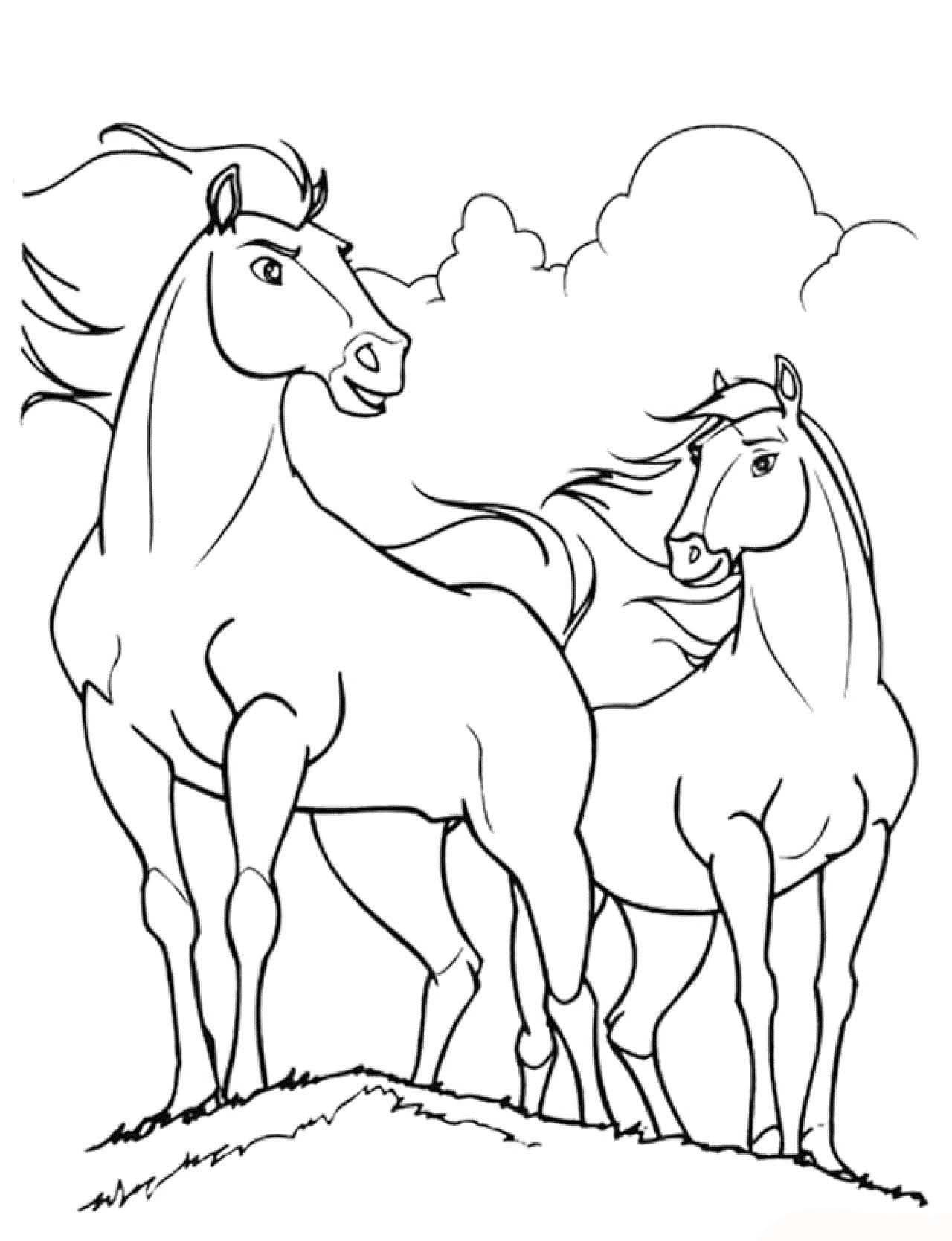 Spirit wild und frei 11