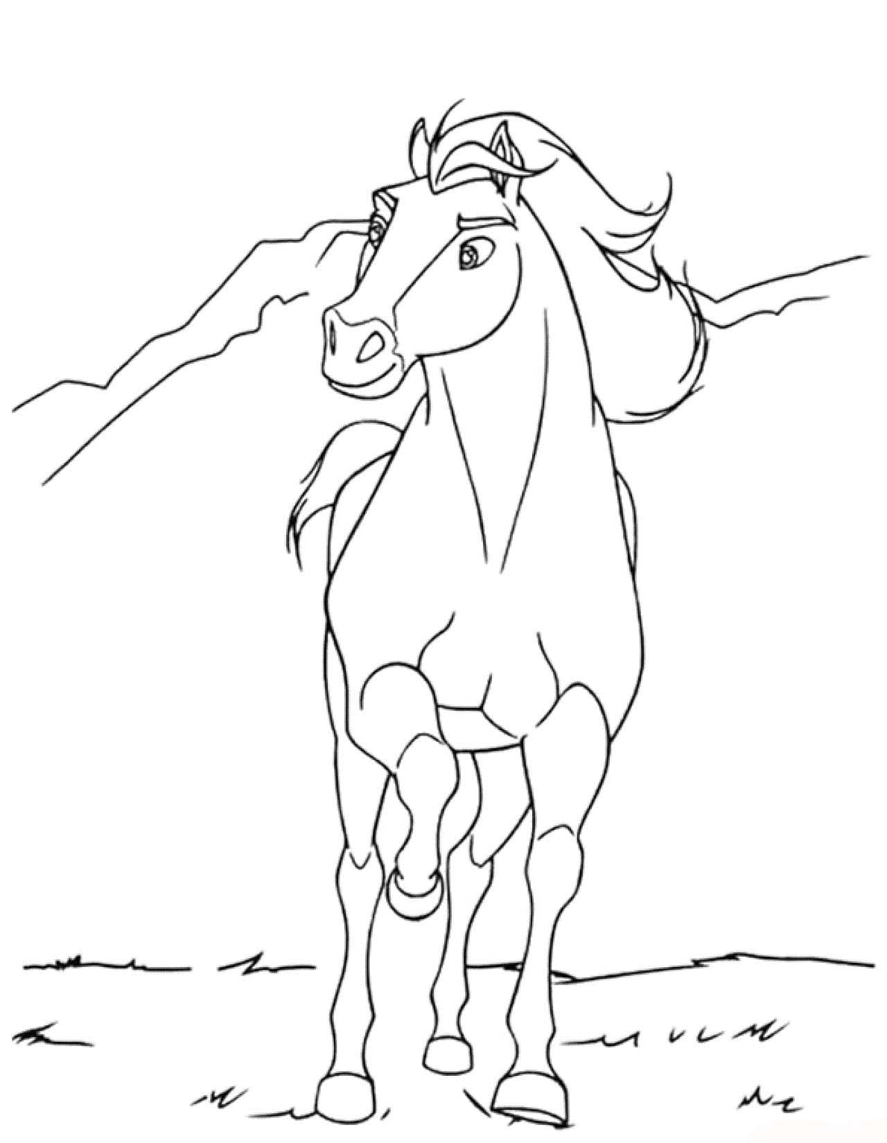 Spirit wild und frei 2