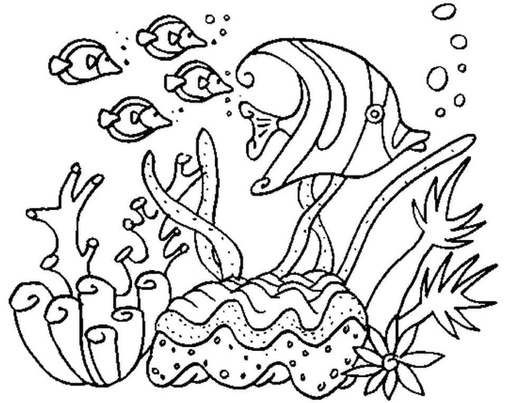 Bild Wassertiere kostenlos