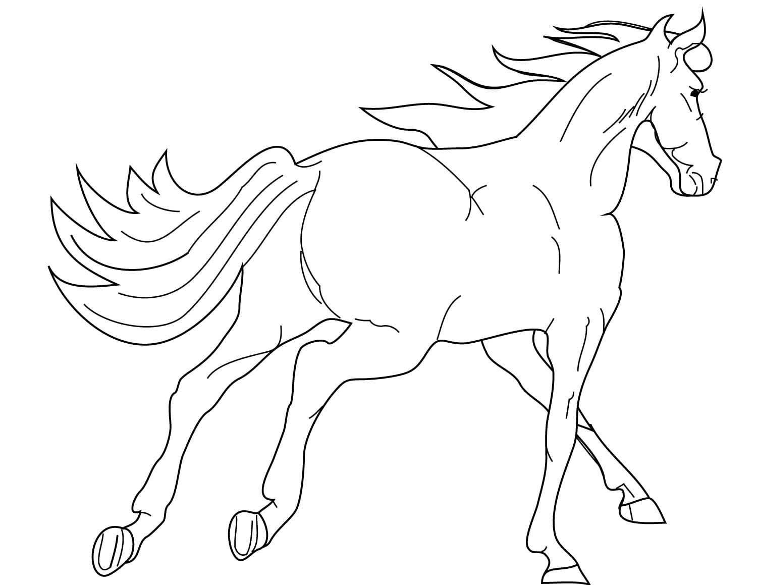 Bild Wildpferde kostenlos druckbar