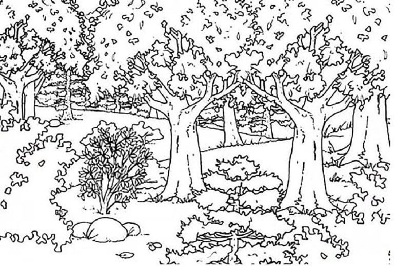 Wald kostenlos druckbar