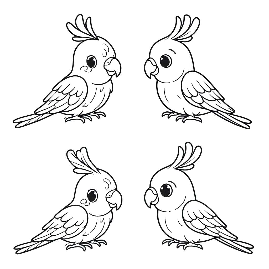 Wellensittich kostenlos zeichnen