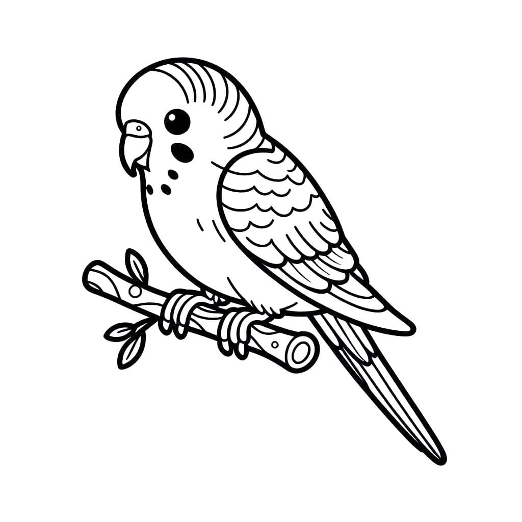 Wellensittich zeichnen