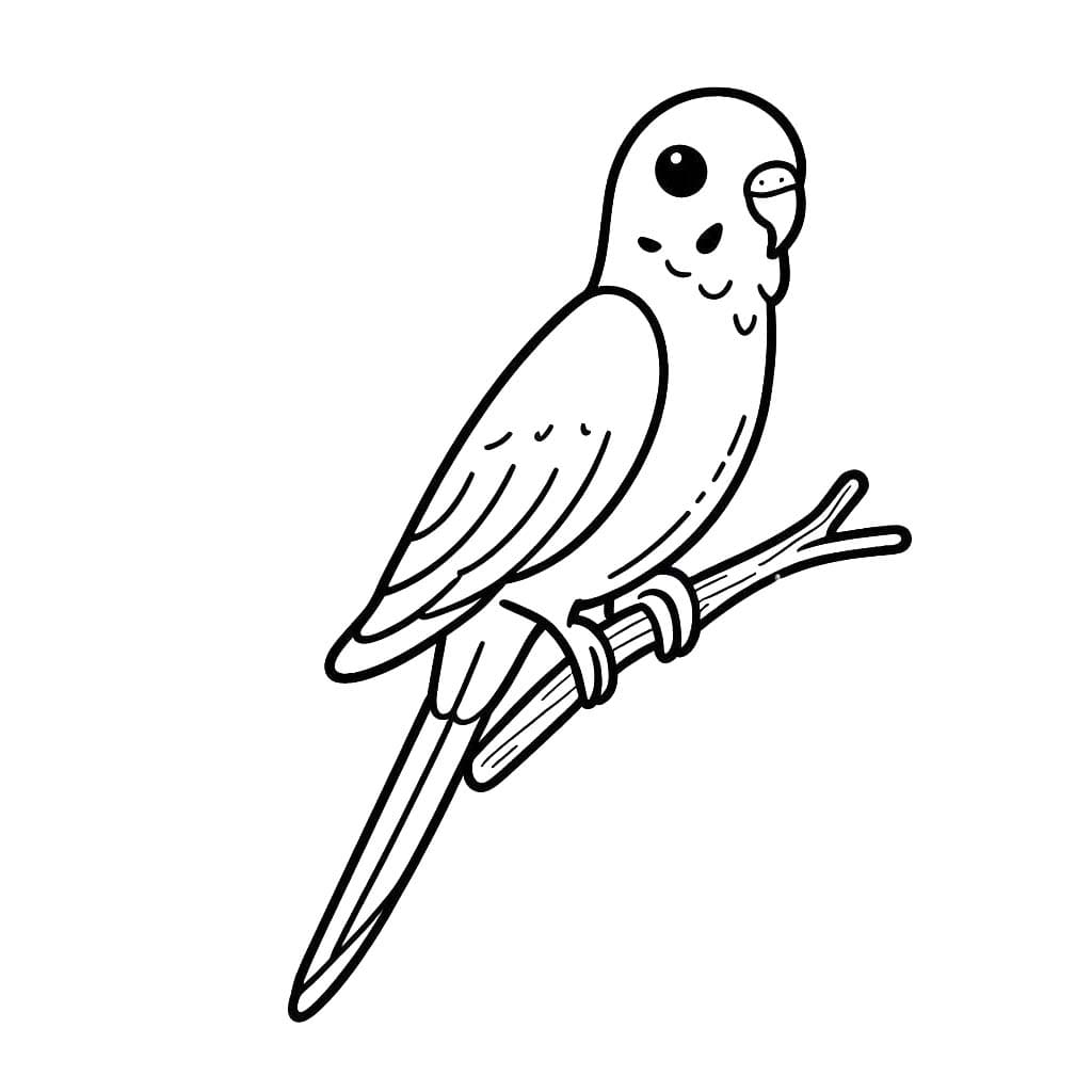Wellensittich zeichnen kostenlos ausdrucken