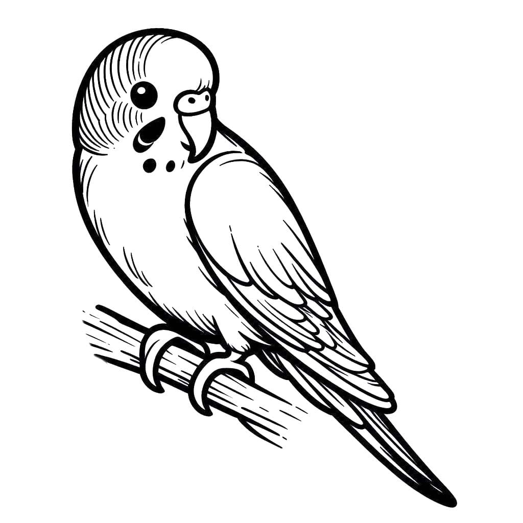 Wellensittich zeichnen zum Ausdrucken