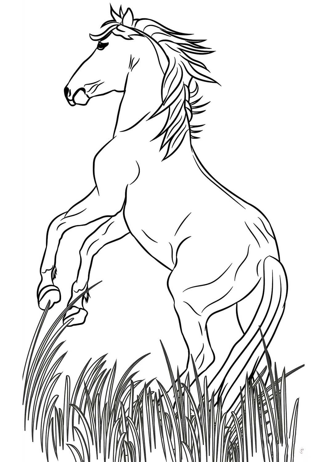 Wildpferde zum Ausdrucken für Kinder