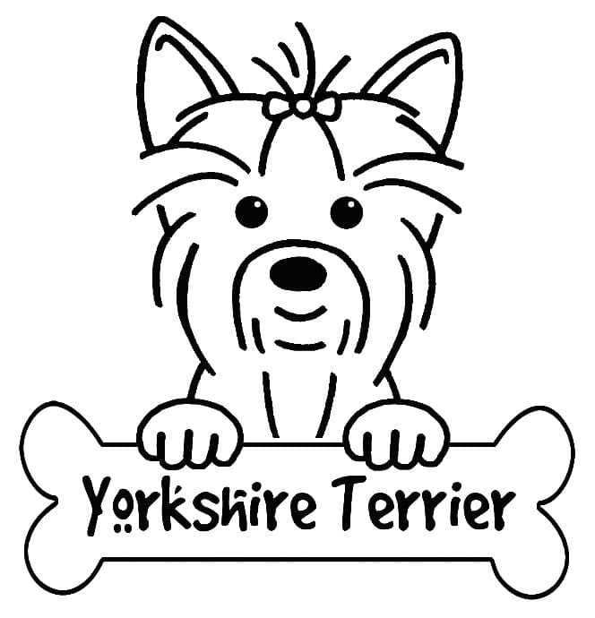 Yorkshire Terrier ausmalbilder