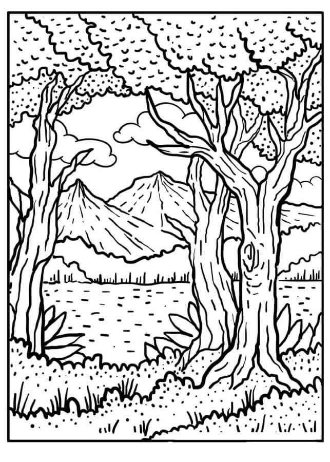 Zeichnen Wald basisch