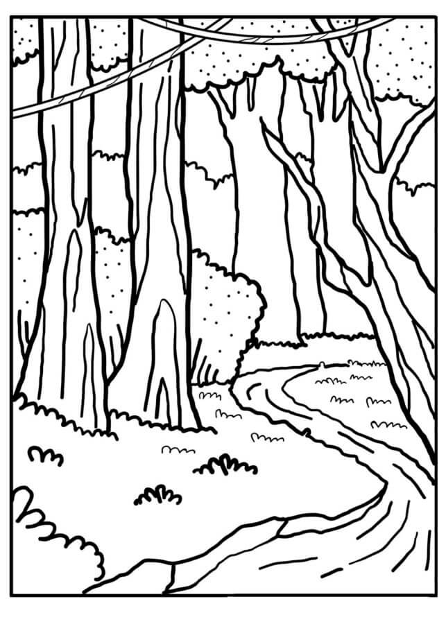 Coloriage Wald