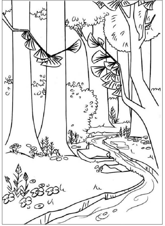 Zeichnen Wald schlicht