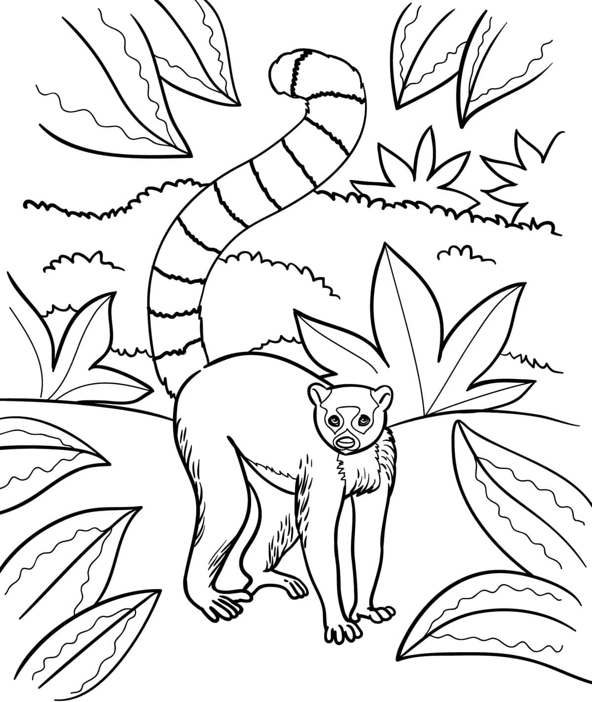 Zeichnen Waldtiere 4