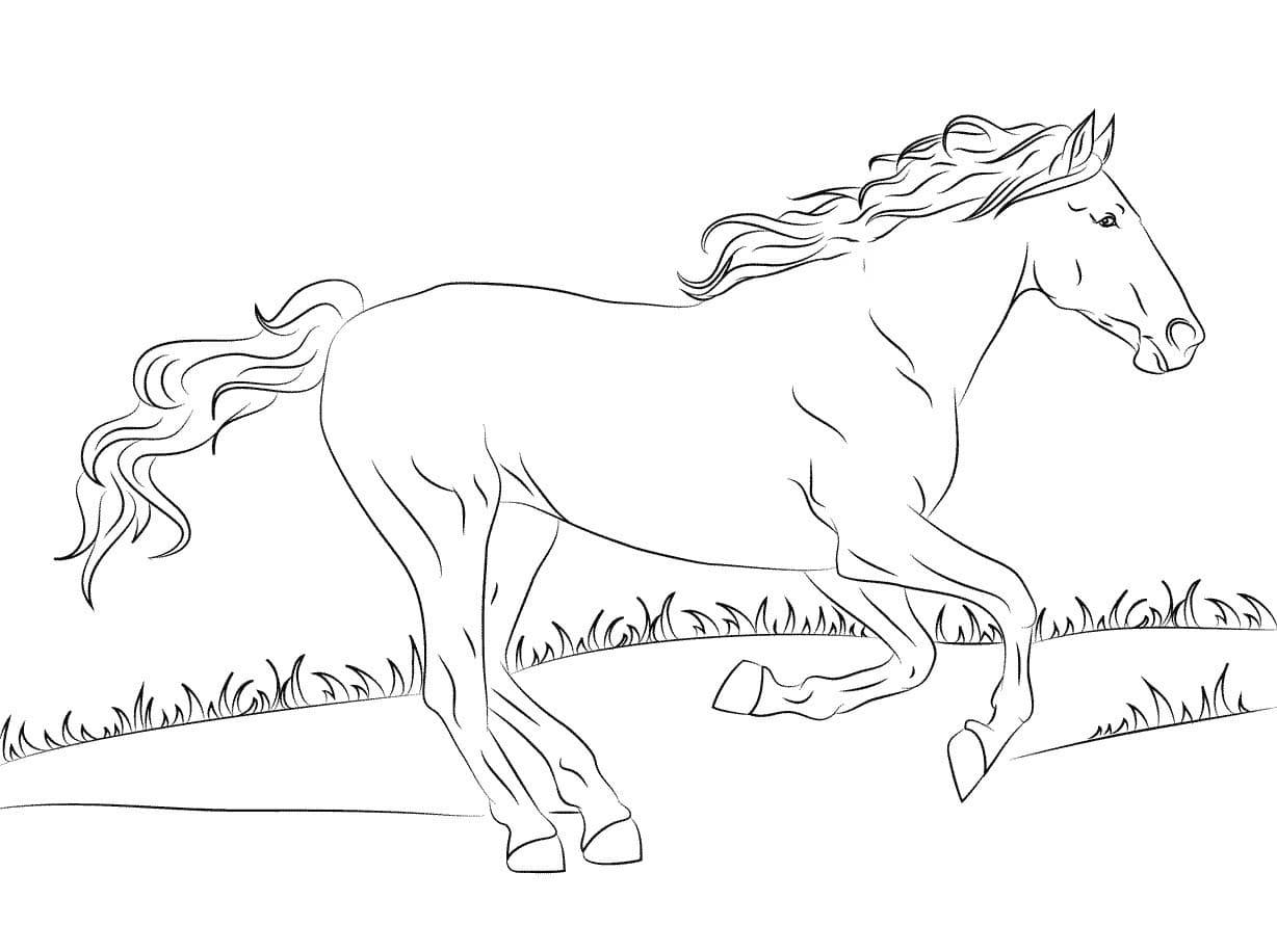 Wildpferde ausmalbilder