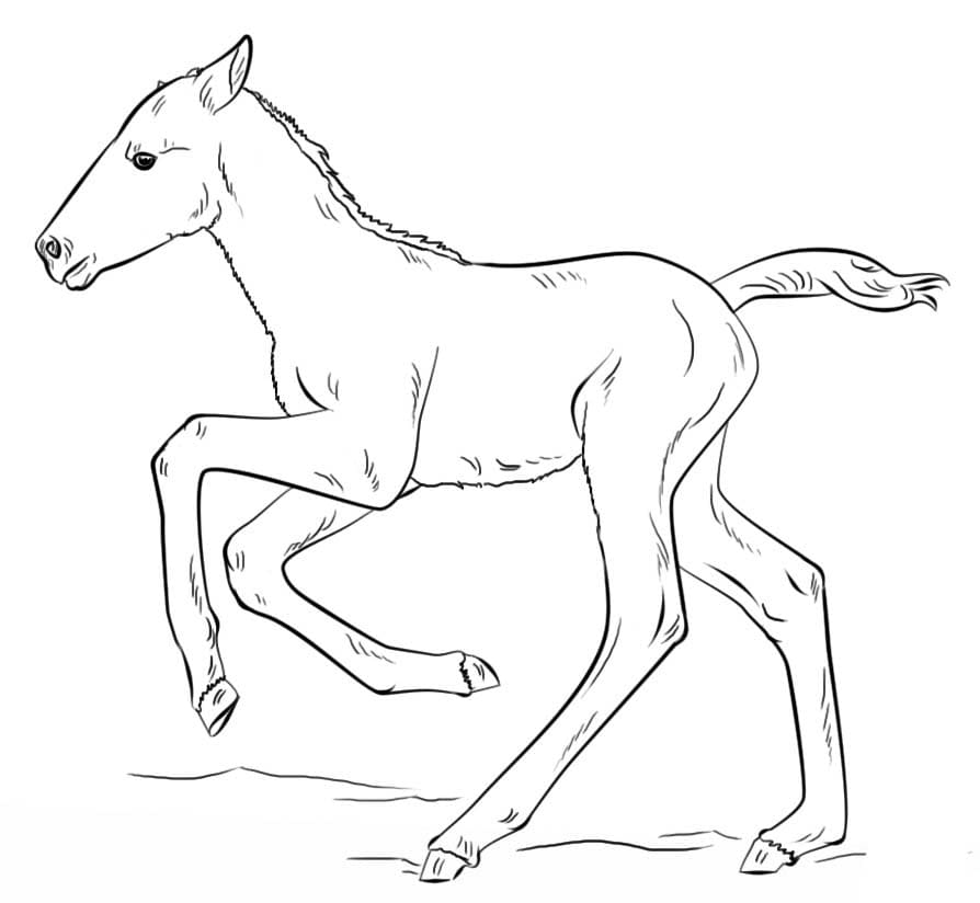 Zeichnen Wildpferde druckbar