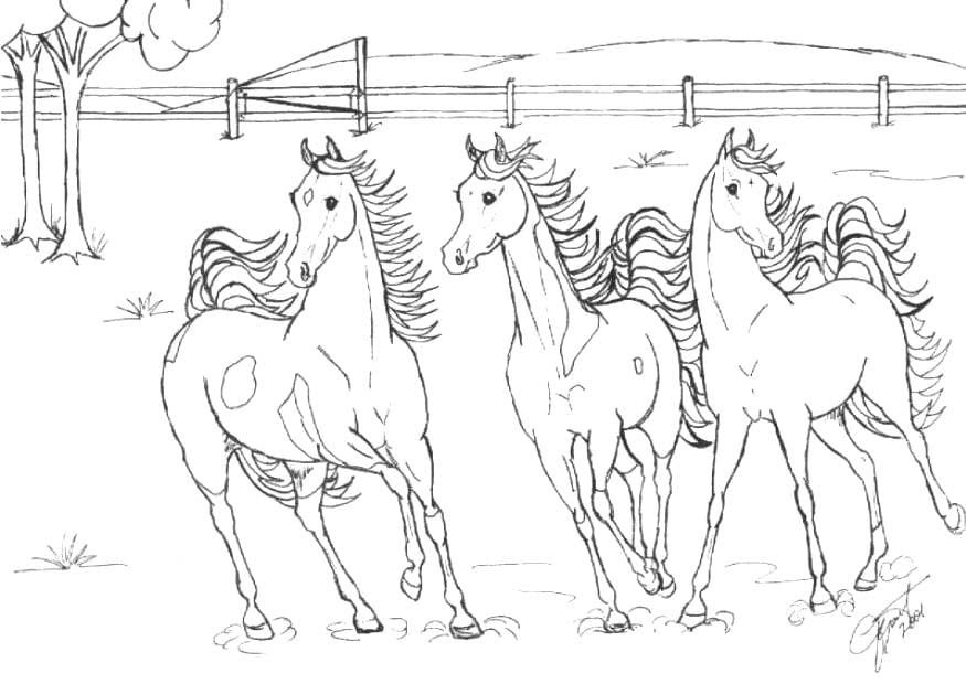 Zeichnen Wildpferde für Kinder