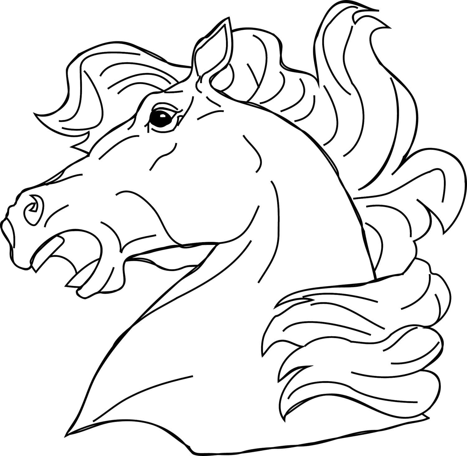 Zeichnen Wildpferde Kopf