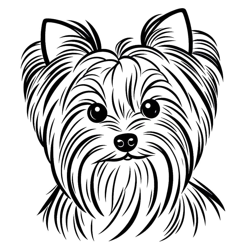 Zeichnen Yorkshire Terrier druckbar