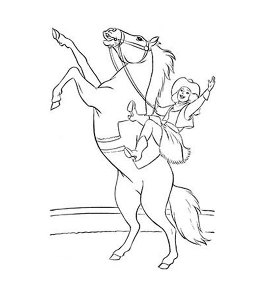 Zirkuspferde kostenlos