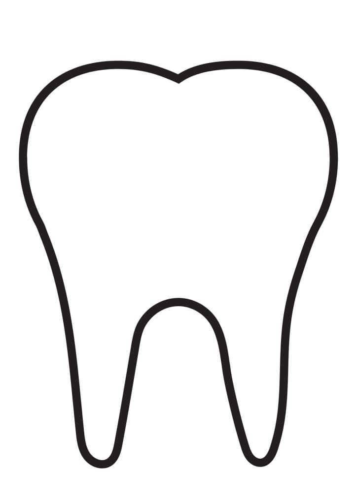Zähne, Zahnpflege und Zahnfee 4