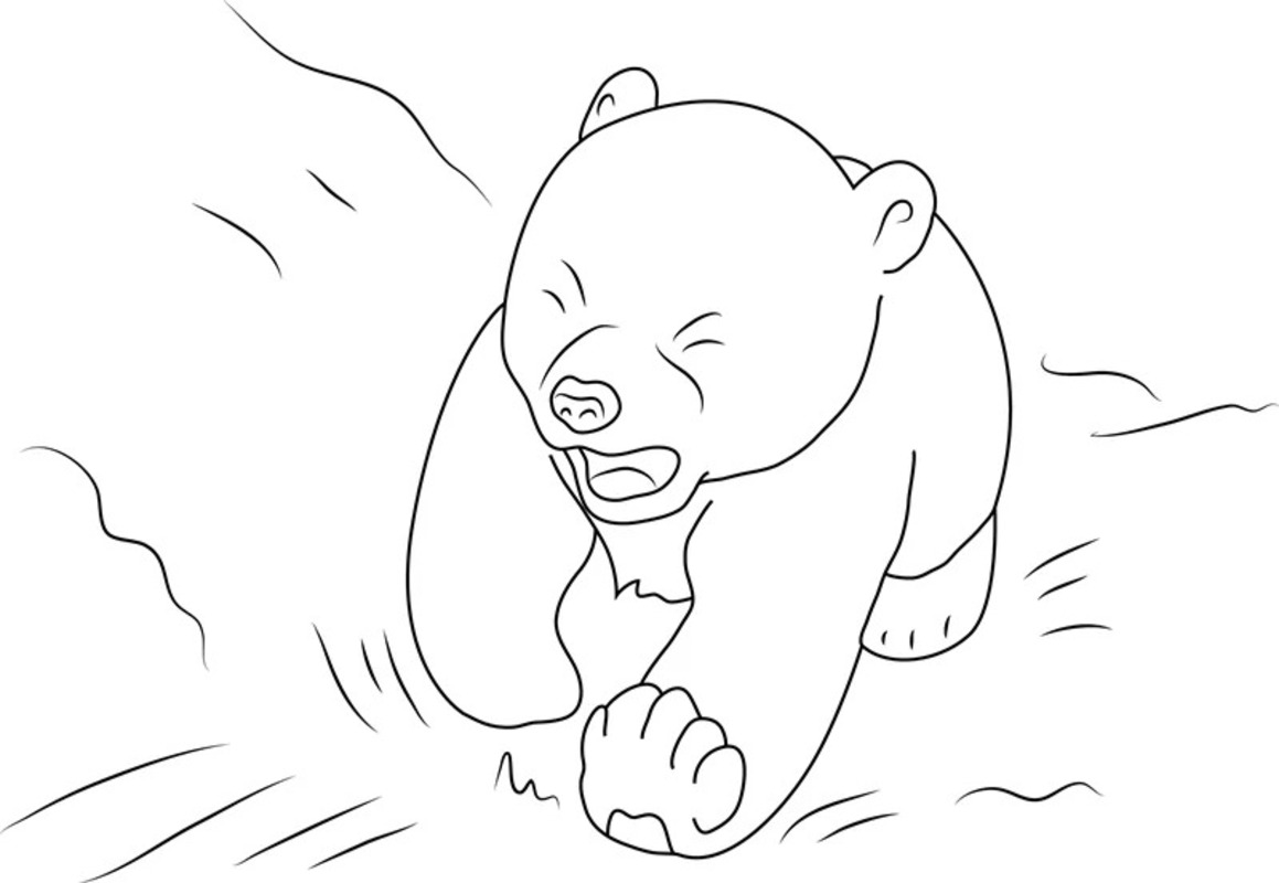 Zeichnen Der kleine Eisbär basisch