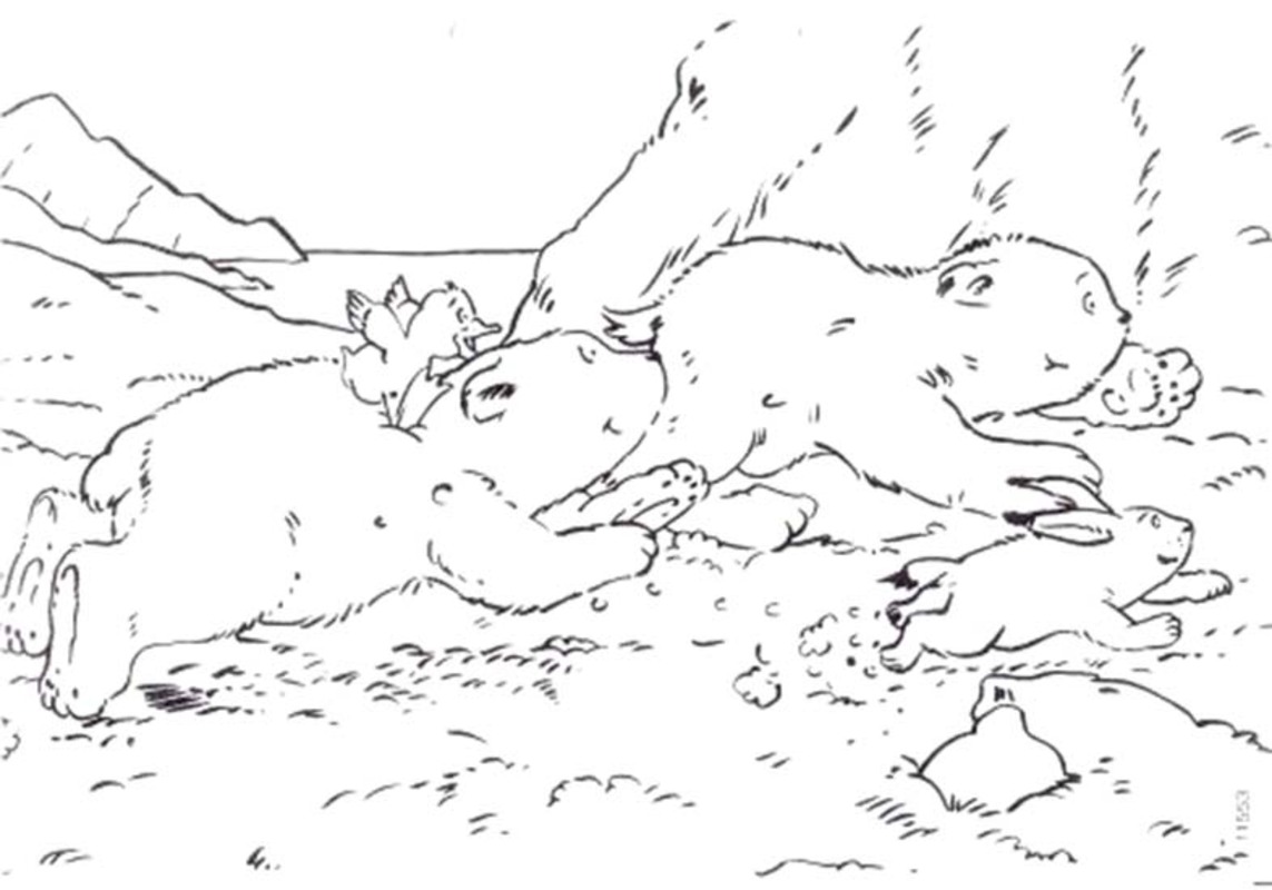 Zeichnen Der kleine Eisbär einfach