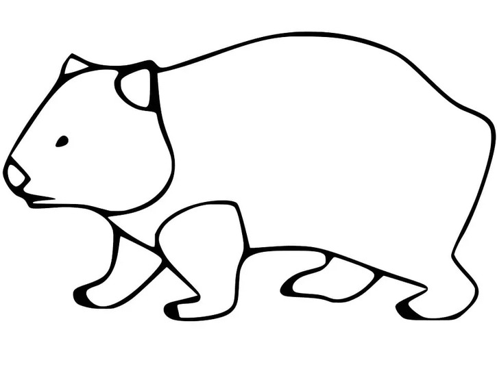 Zeichnen Wombat schlicht