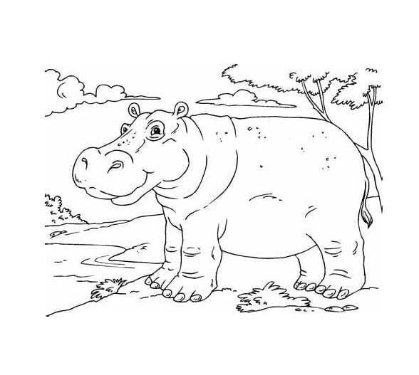 Zeichnen Nilpferd kostenlos basisch