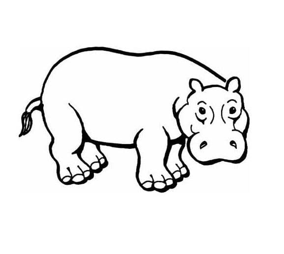 Zeichnen Nilpferd kostenlos druckbar