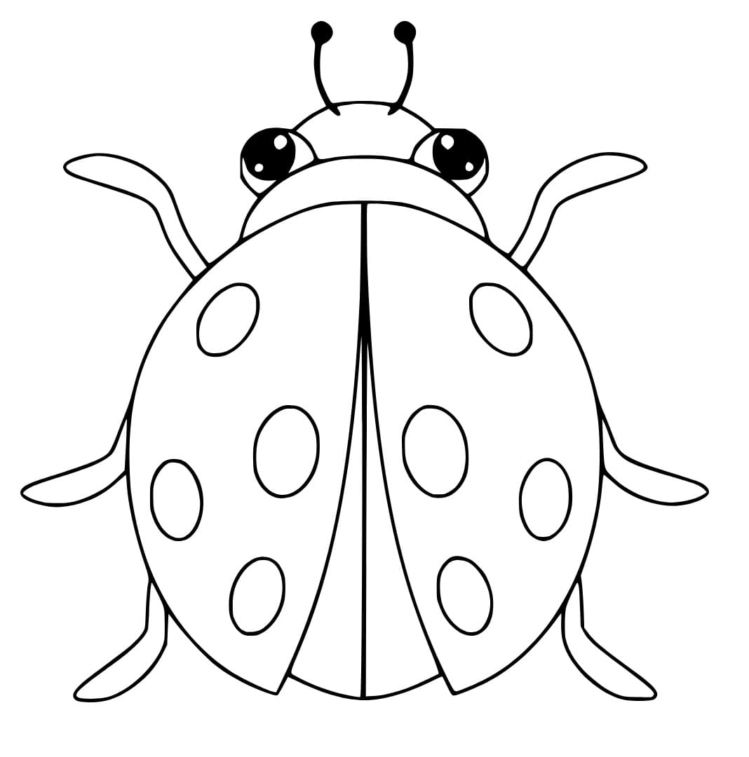 Bild Marienkäfer kostenlos