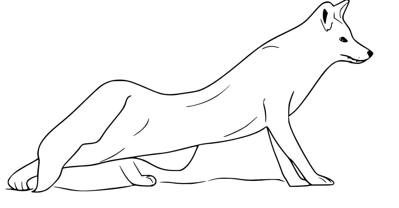 Bild Rotfuchs basisch