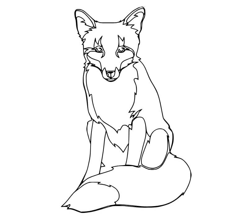 Bild Rotfuchs kostenlos