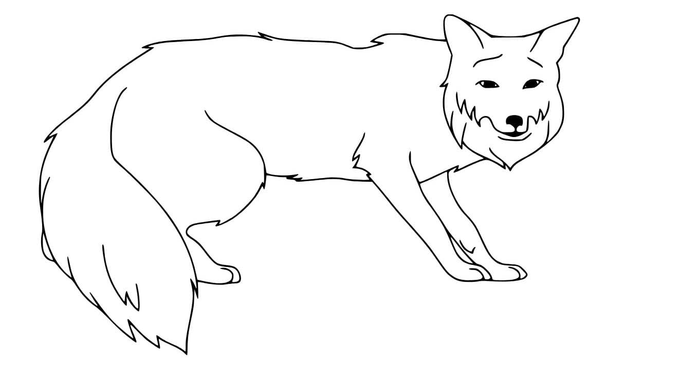 Bild Rotfuchs zum Ausdrucken