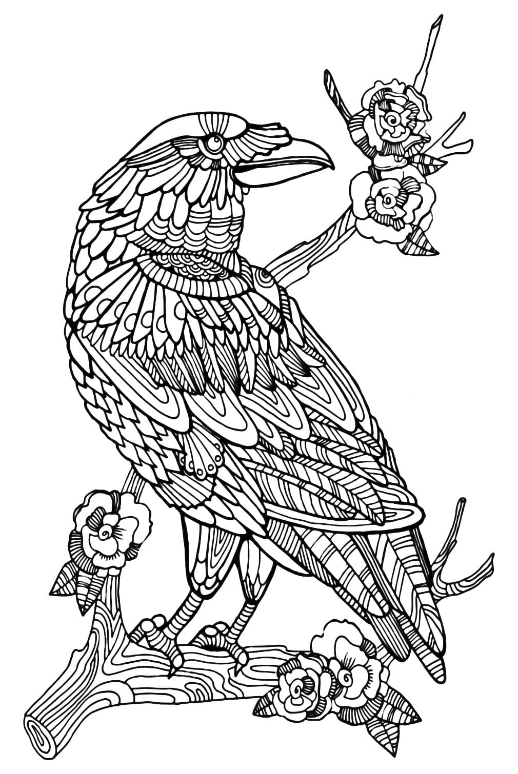 Kostenlos druckbar Rabe