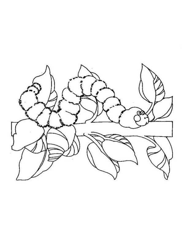 Kostenlos druckbar Raupe