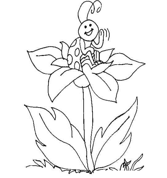 Marienkäfer kostenlos basisch