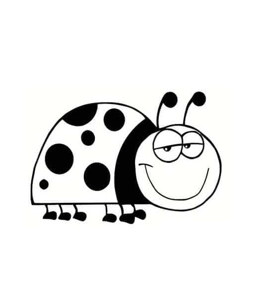 Marienkäfer zum Ausdrucken
