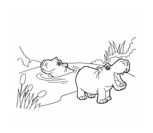 Nilpferd kostenlos einfach