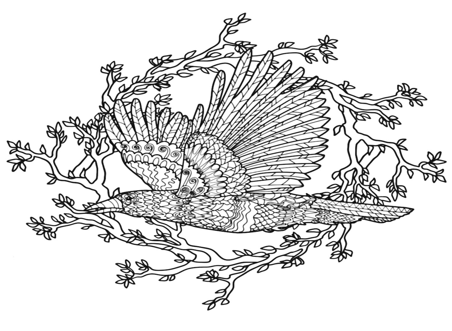 Rabe druckbare basisch