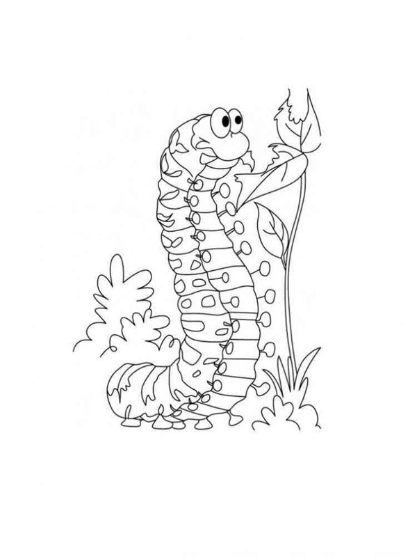 Raupe zum Ausdrucken