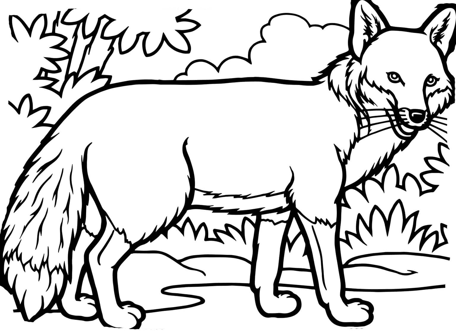 Rotfuchs zum Ausdrucken für Kinder