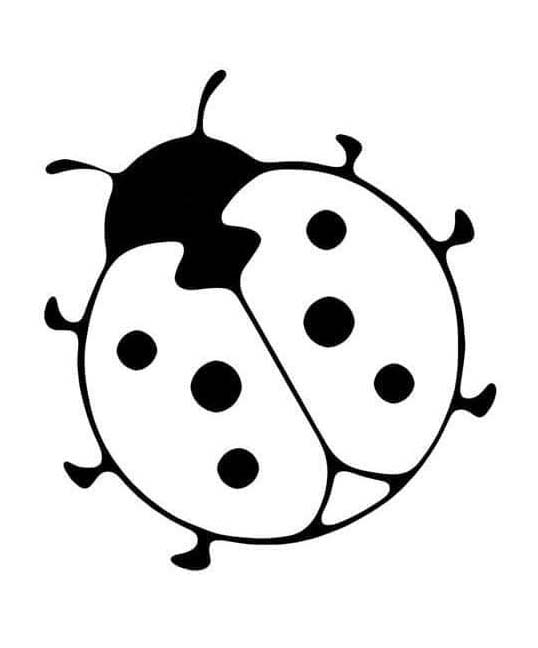 Zeichnen Marienkäfer druckbar
