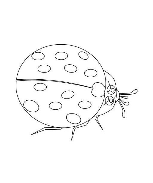 Zeichnen Marienkäfer kostenlos druckbare schlicht