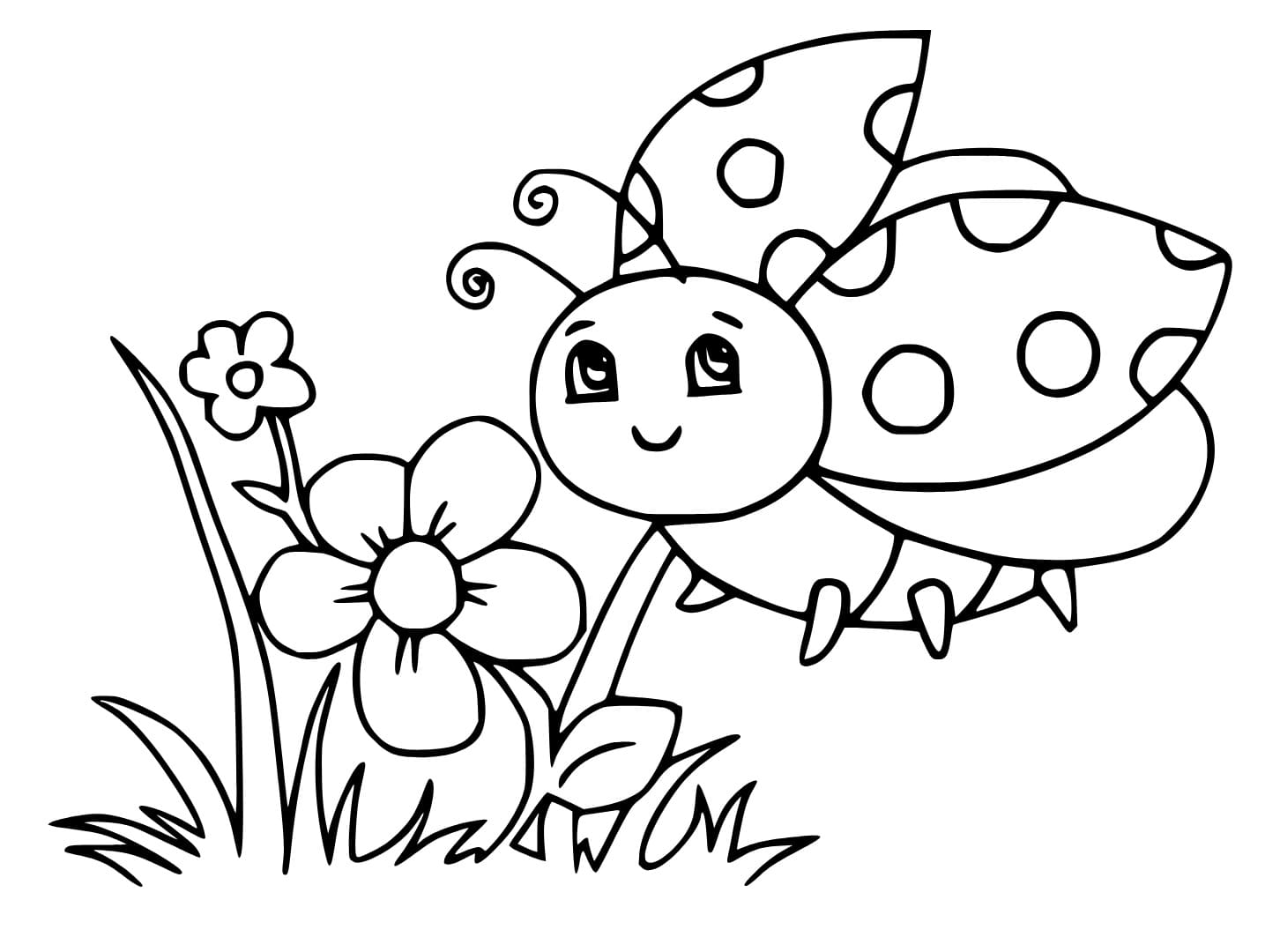 Zeichnen Marienkäfer Niedlich