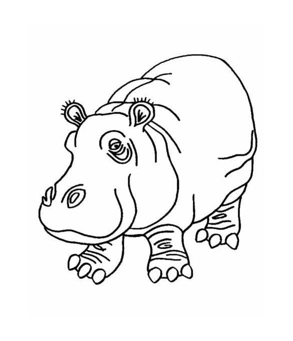 Zeichnen Nilpferd schlicht