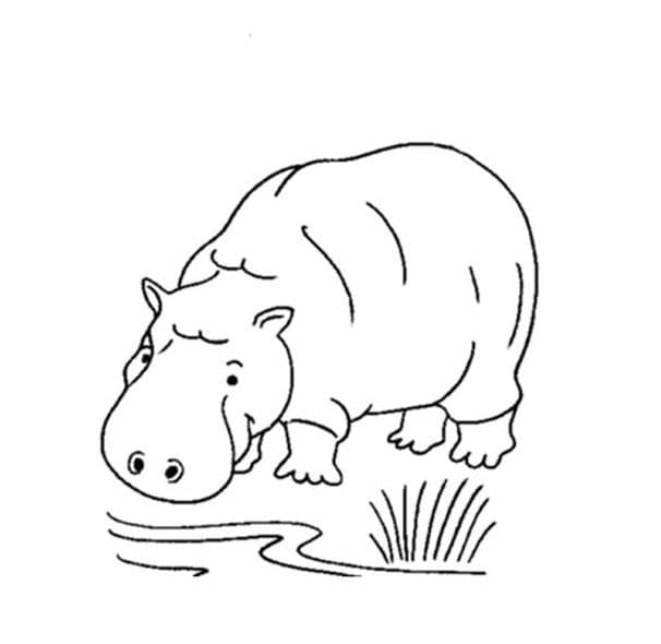 Zeichnen Nilpferd zum Ausdrucken