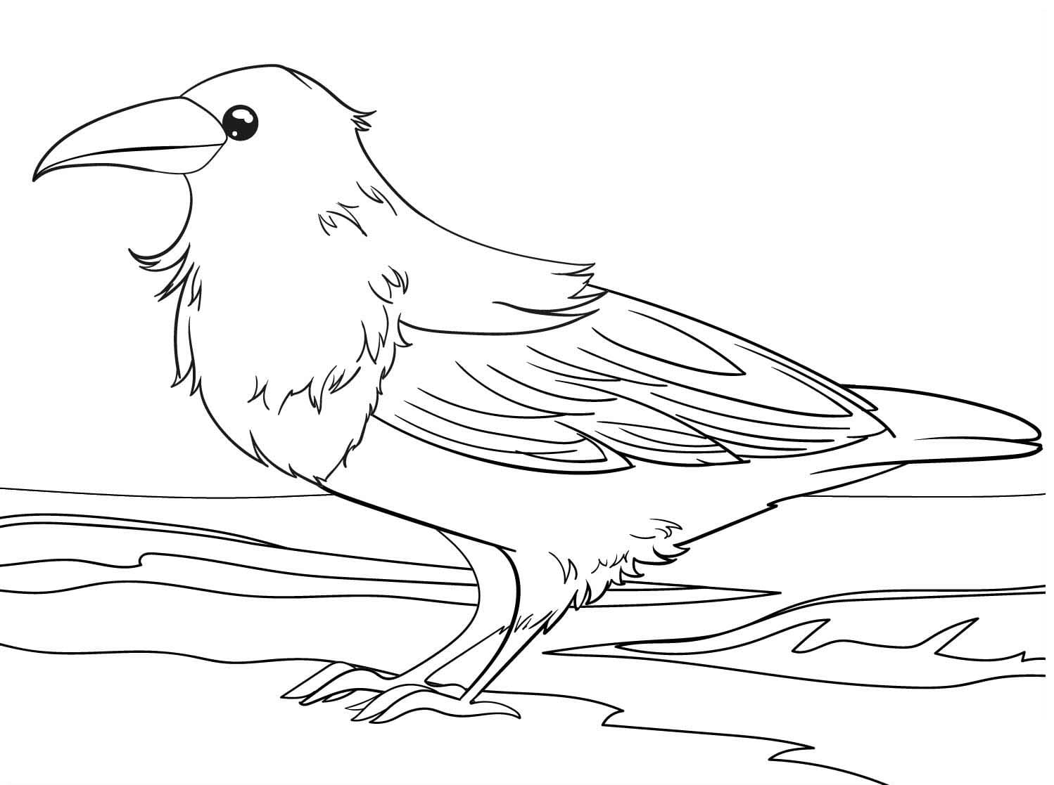 Zeichnen Rabe kostenlos druckbar