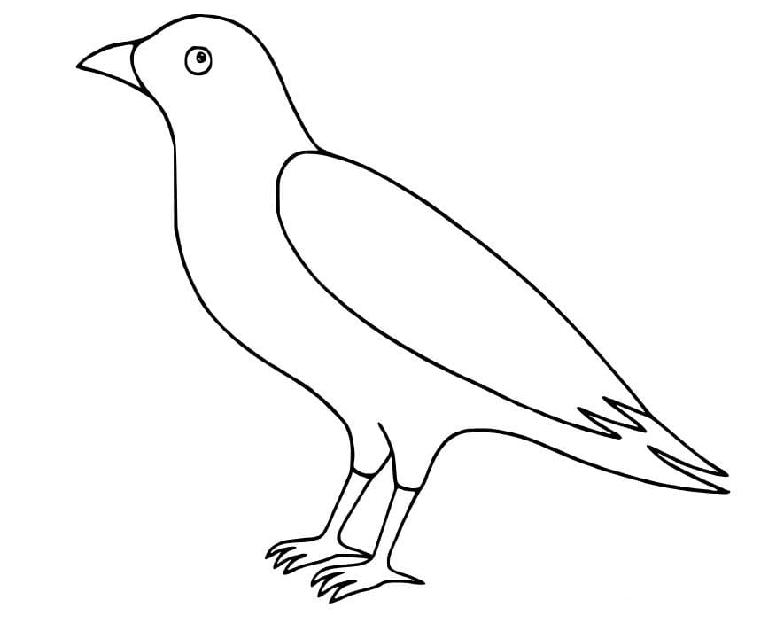 Zeichnen Rabe schlicht