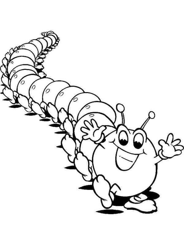 Zeichnen Raupe basisch